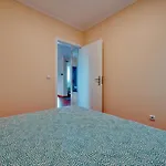 Cozy Cottage, 2br Terrace & Mountain Views * Santana (Madeira)