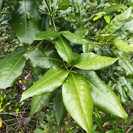 Σπίτι διακοπών Cozy Cottage, 2br Terrace & Mountain Views