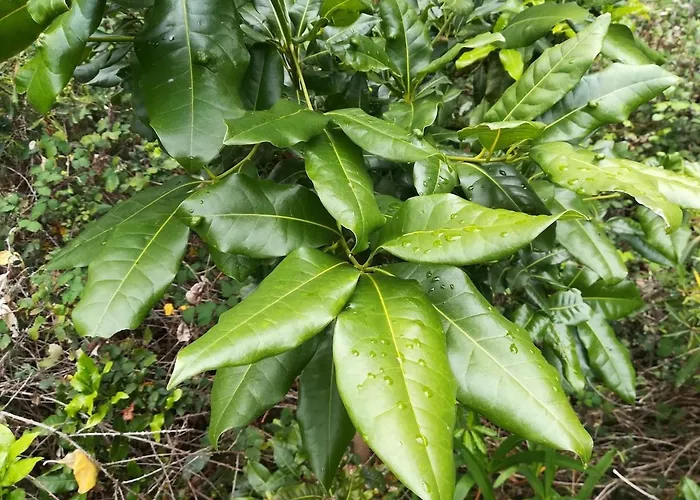 Σπίτι διακοπών Cozy Cottage, 2br Terrace & Mountain Views
